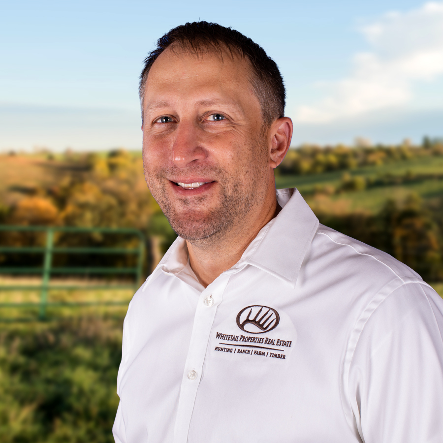 Mike Arajakis Profile