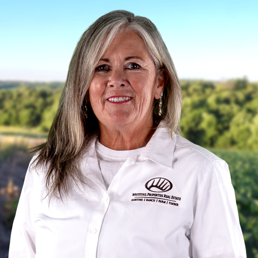 Kathy Reynolds Profile Headshot