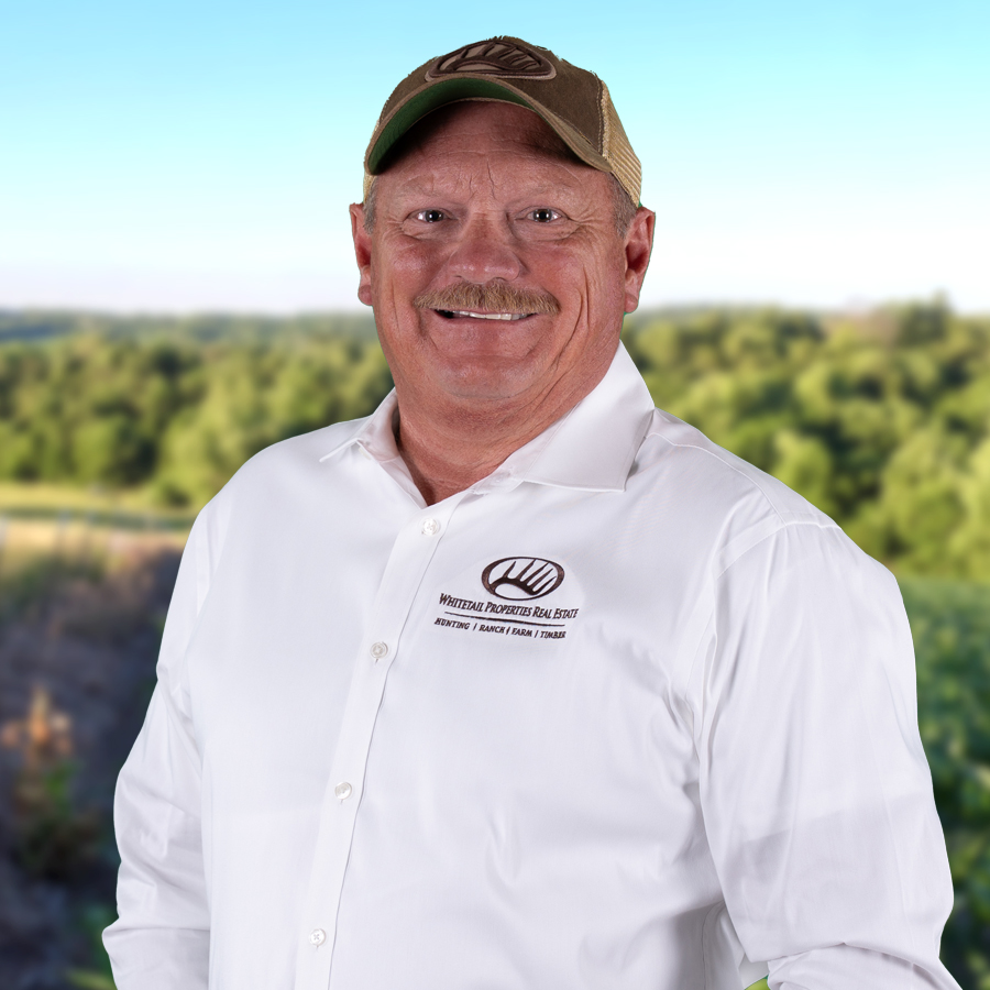 David Westmoreland Profile