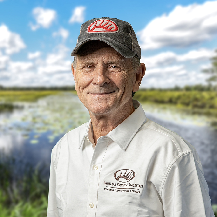 Robert Palmer Profile Image