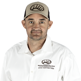 Forrest Lewton Profile Image