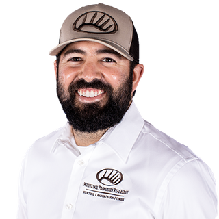 Joey Bellington Profile Image