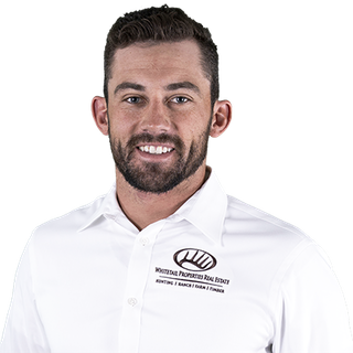 Caje Golden Profile Image