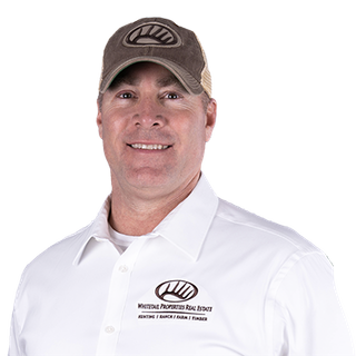 David Morgan Profile Image