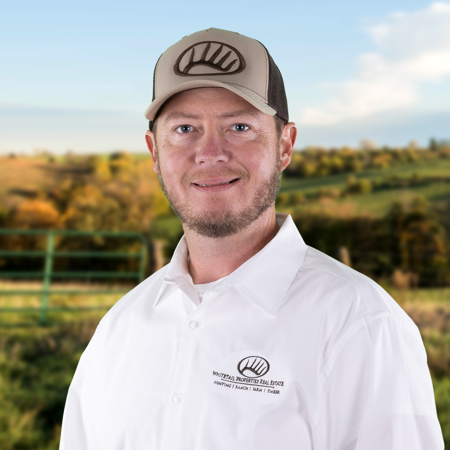 Mike Campbell Profile