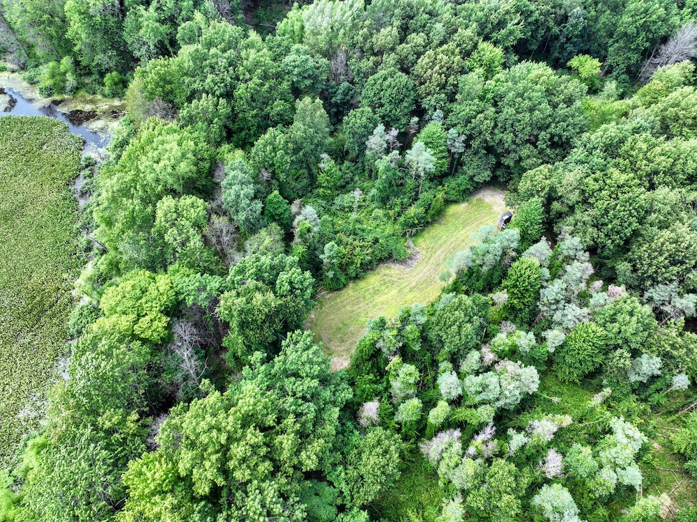 Private Rolling Woods Near Albion, Trails, Timber And Prime Hunting