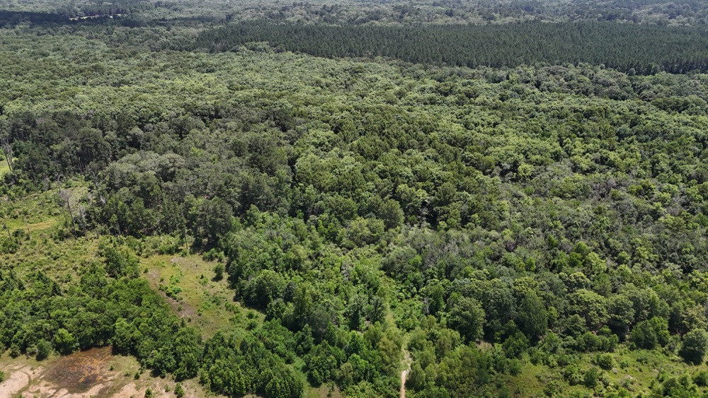 Prime Wildlife Habitat in Ouachita Parish