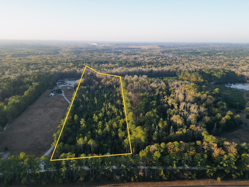 Timberland Acreage In Dorchester County Near I-26
