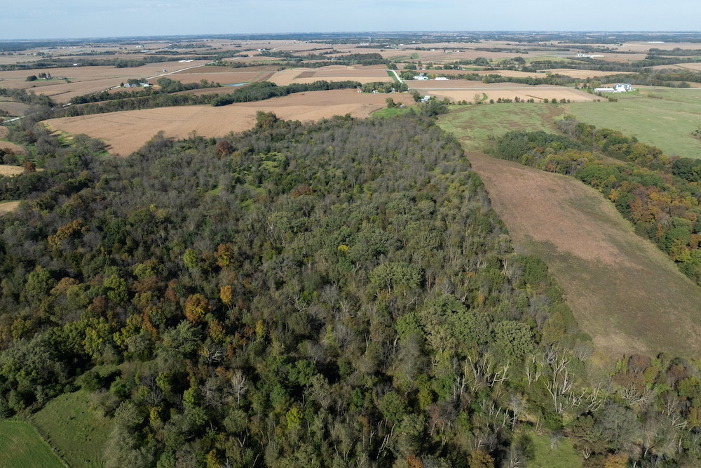 Secluded Recreational Timber Property Near Brighton | Whitetail Properties