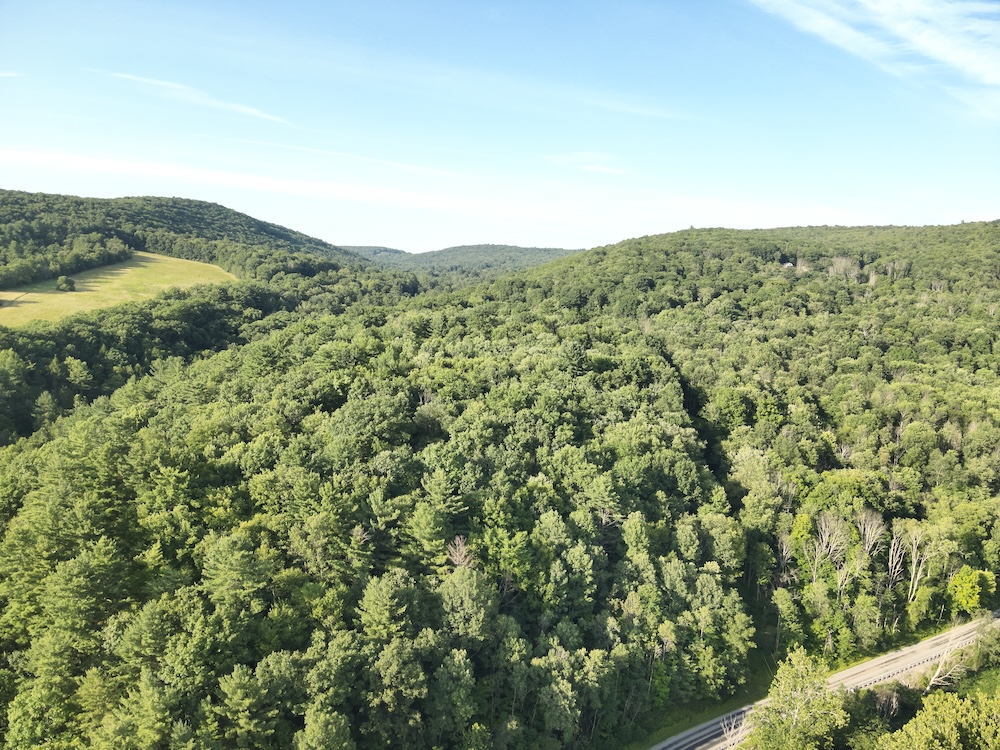 Driveway And Power On-Site, Stream, Valley, Mineral Rights