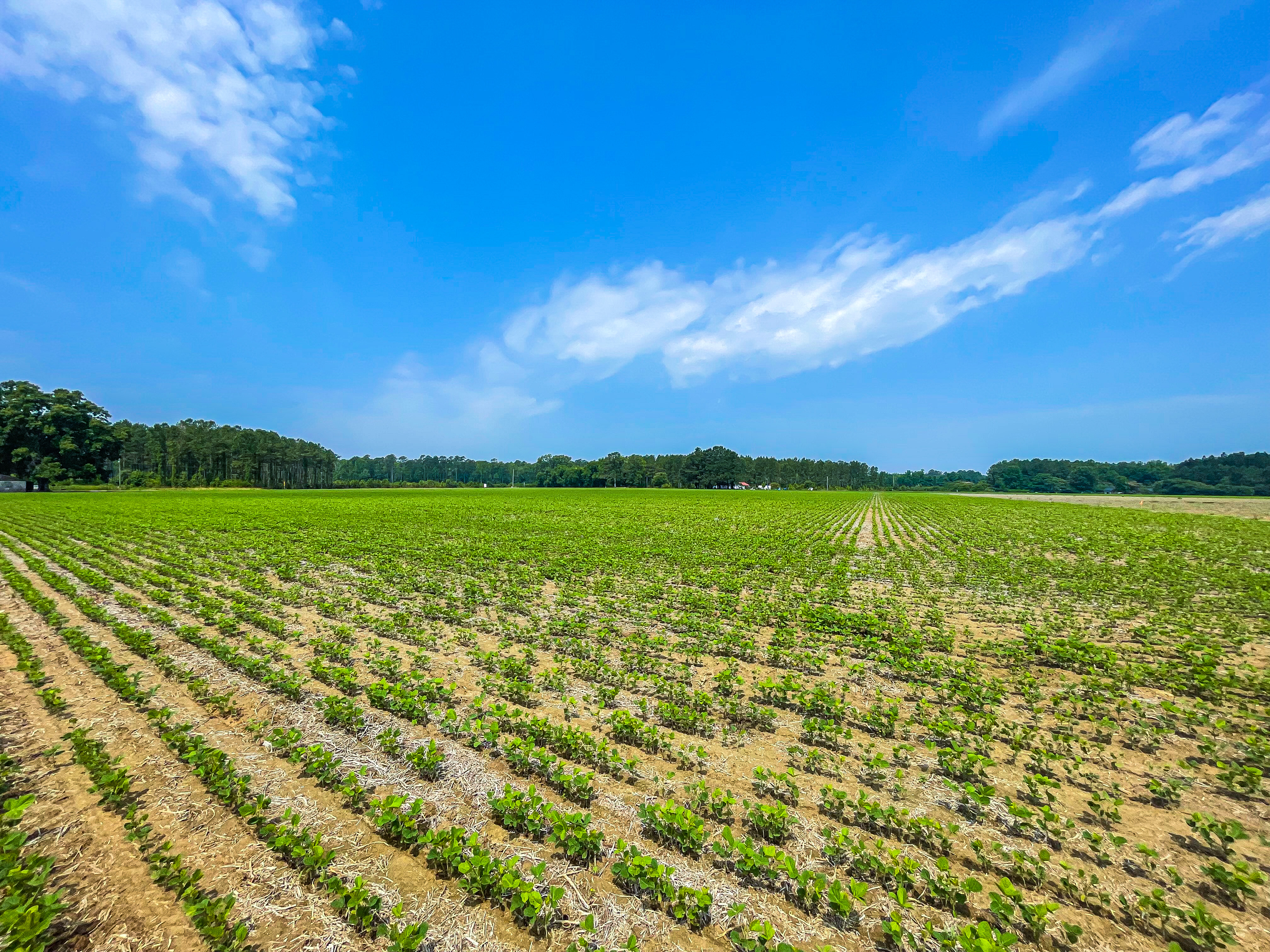 Mini Farm With Residential Development Potential | Whitetail Properties