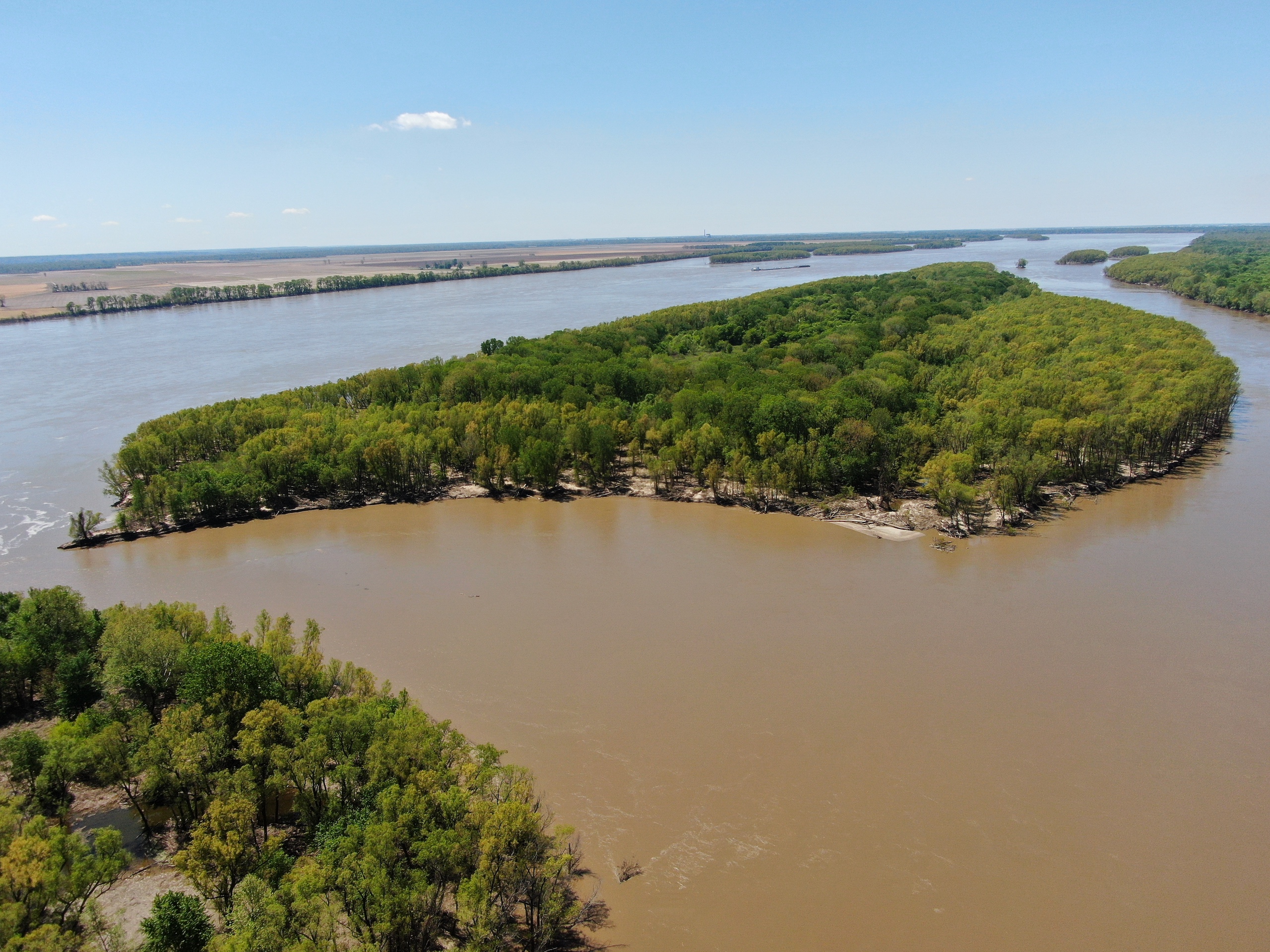 Mississippi River Island With Easy Access From TN Or AR | Whitetail ...