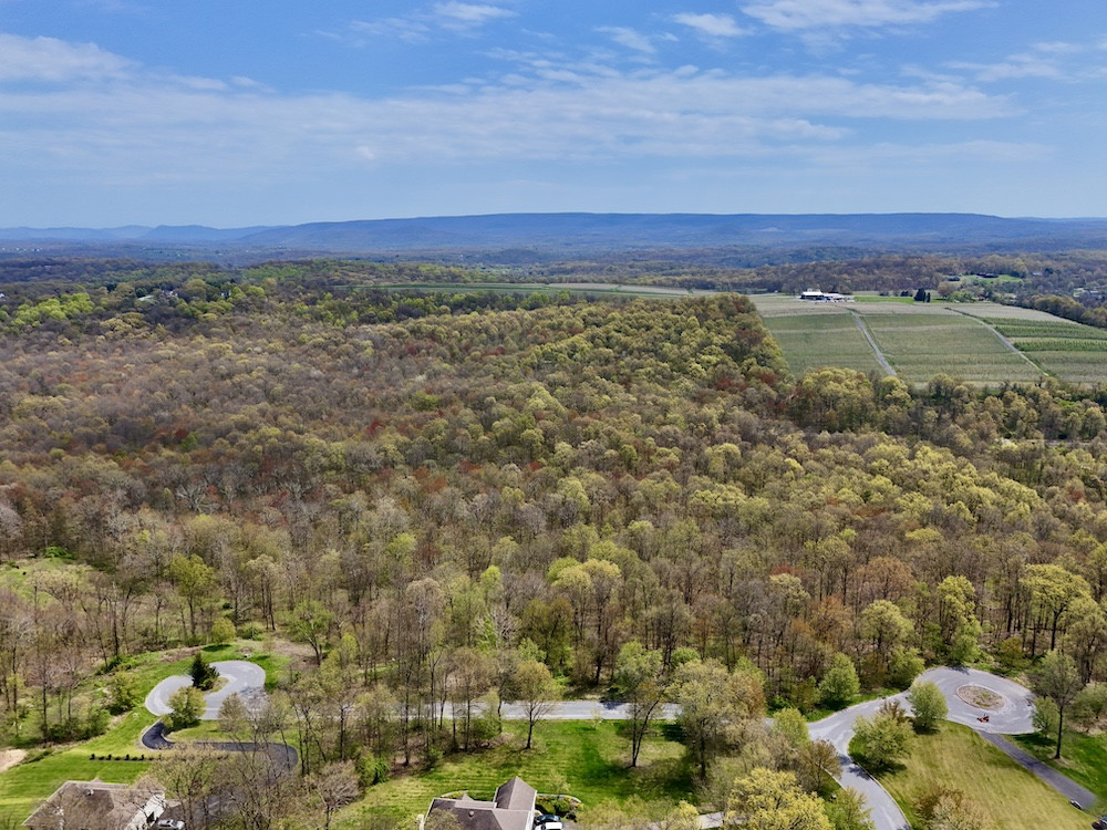 Secluded Building Opportunity With Privacy And Endless Possibilities