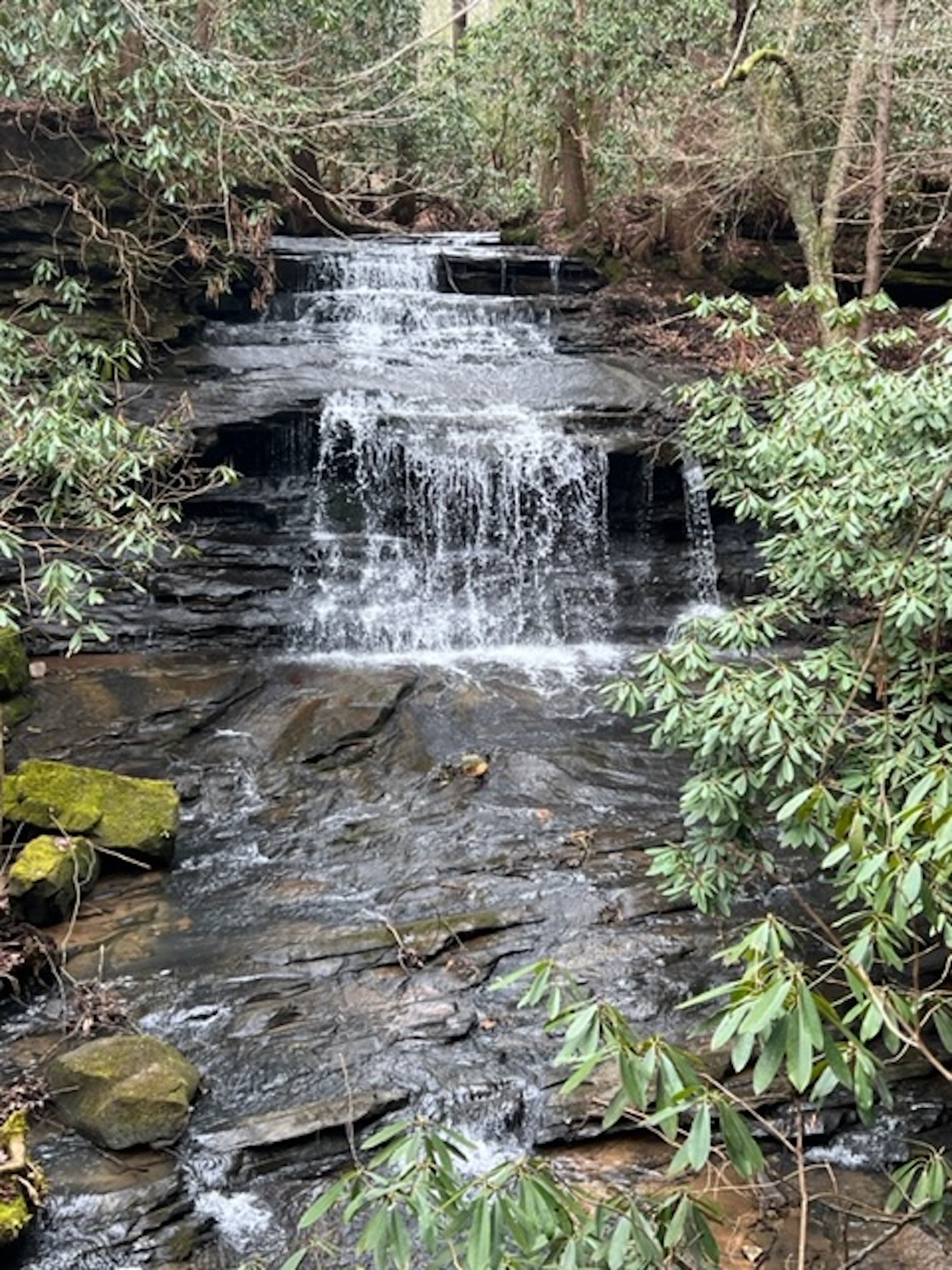Gorgeous Mountain Tract That Looks And Feels Like A State Park In