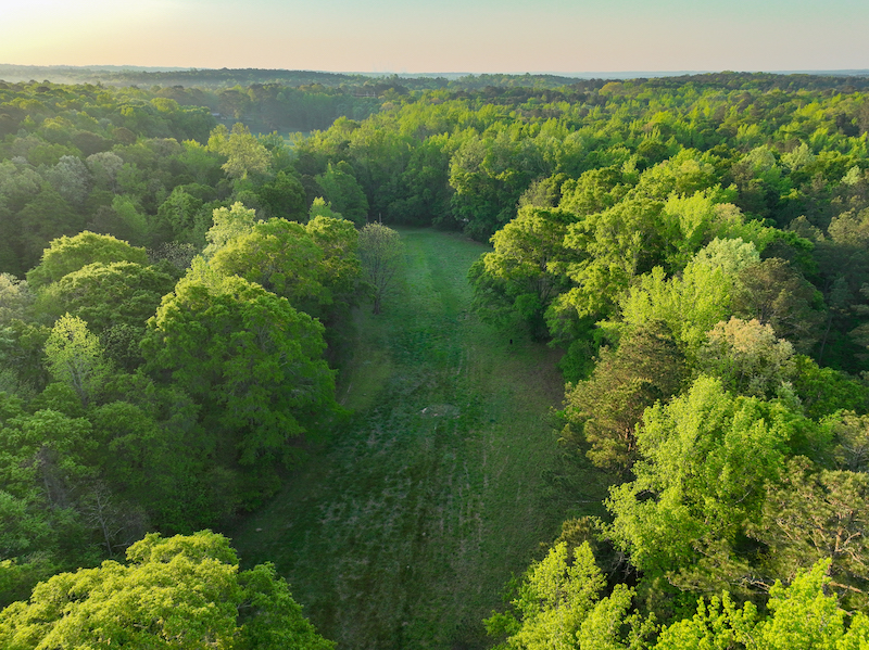 Mixed Timber Tract With Multiple Flowing Branches In Monroe County