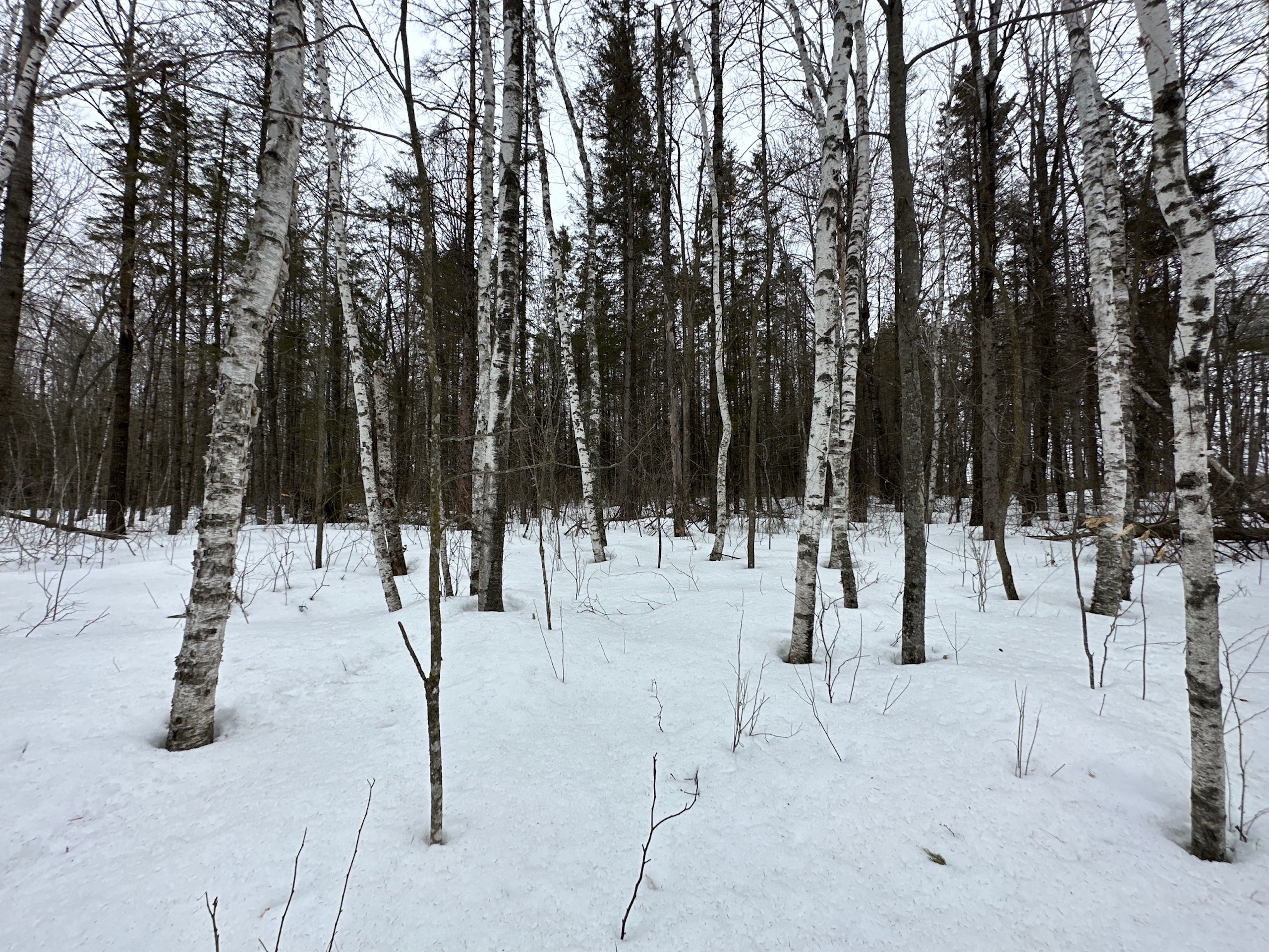 Hunting Property Near Mille Lacs Lake